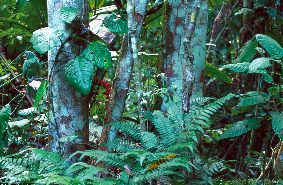 фото с открытого источника