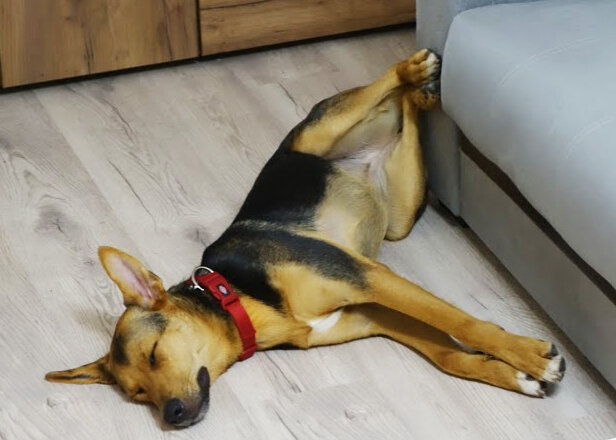 После выздоровления (победили аллергию)