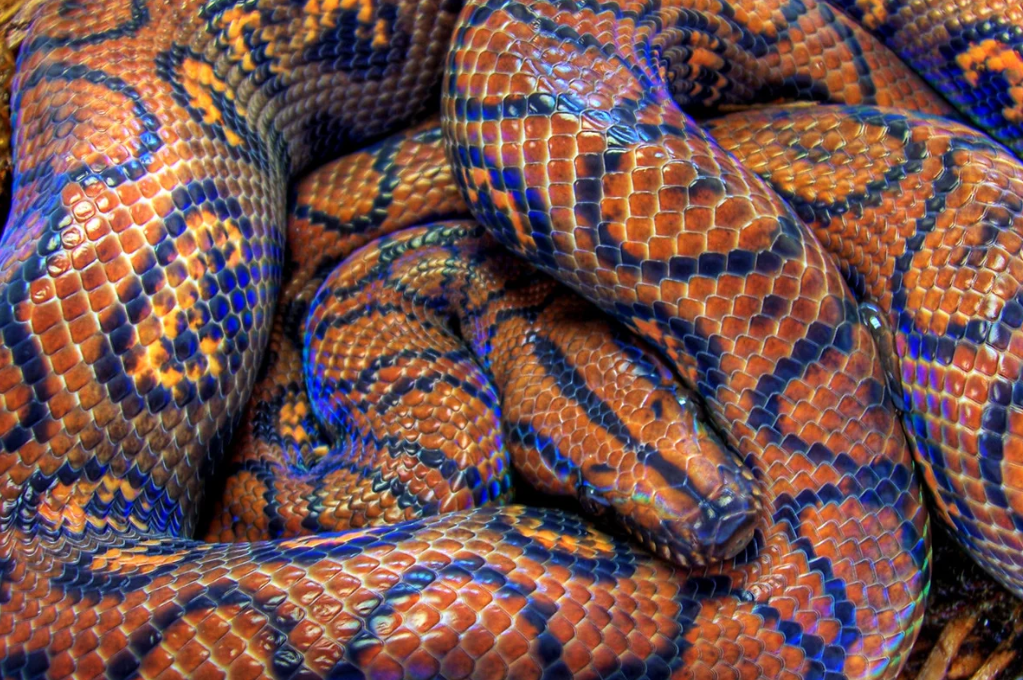 фото yandex.com.tr/collections/card/5b7c73ca2be607007ba7b74d