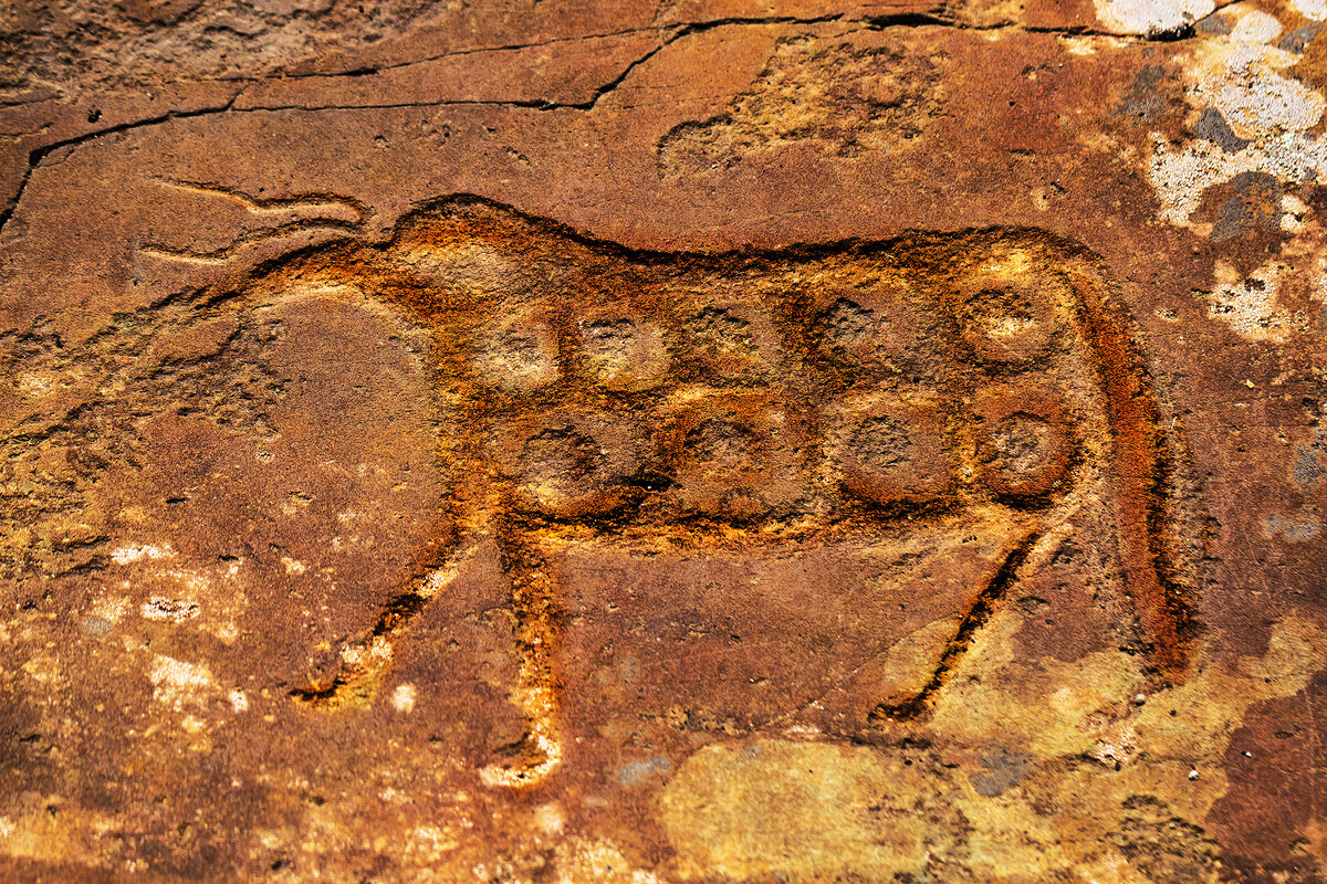 Горный алтай петроглифы калбак таш. Петроглифы урочища калбак-таш. Петроглифы калбак таша. Петроглифы урочища калбак-таш. Петроглифы урочища калбак-таш.