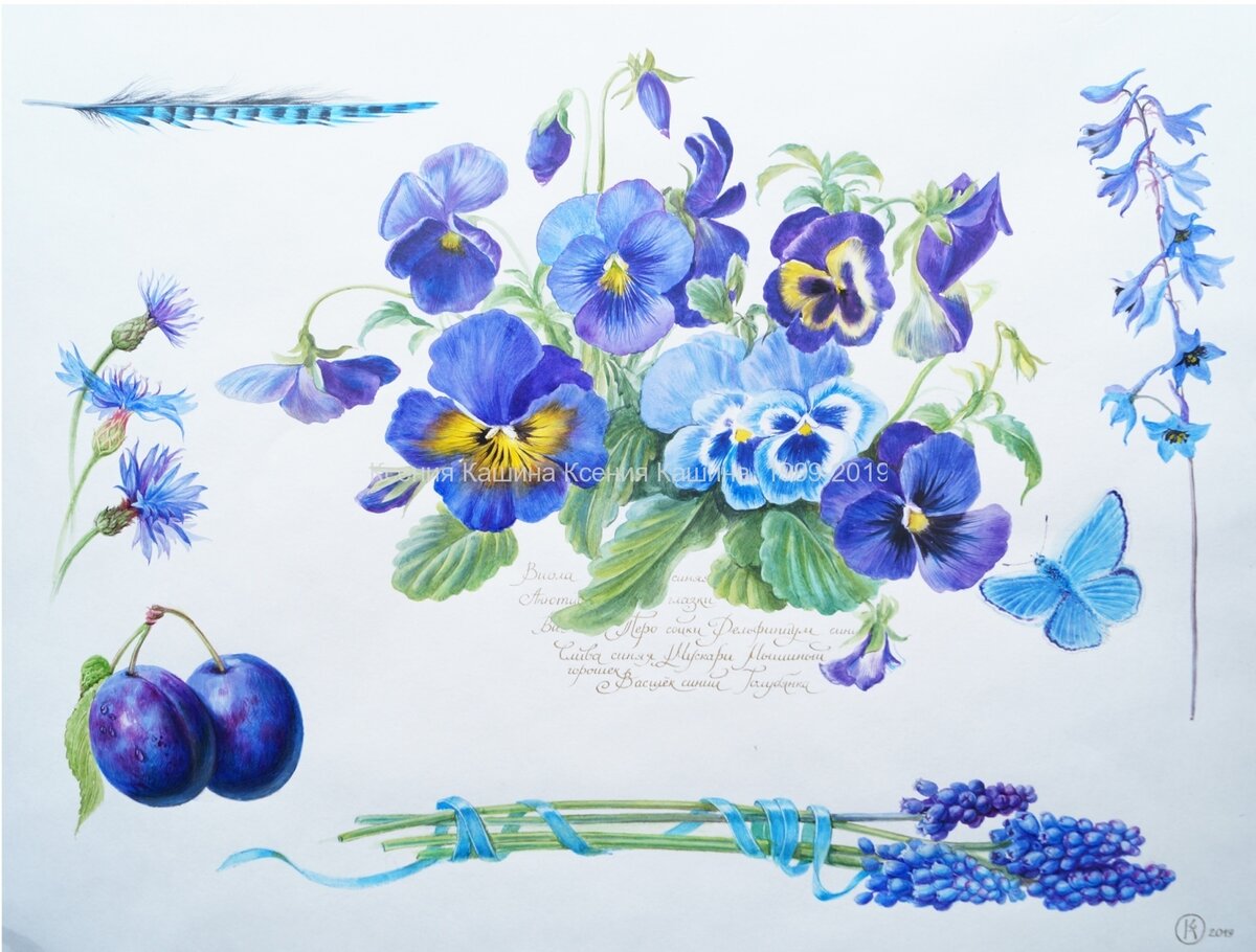 Задумывались ли вы, почему синий цвет так редко встречается в природе? В царстве флоры огромное количество цветов теплых оттенков, а вот голубых и фиолетовых намного меньше.Чисто синие цветы, как правило, результат селекции. Нет в природе синих животных, даже среди тропических птиц не так много обладателей лазурного оперения. Синие фрукты — вообще редкость. Конечно, есть небо и море, но голубое ли оно на самом ли деле? Почему же природа так щедро окрашивая разнообразными красками все вокруг поскупилась на синий цвет?