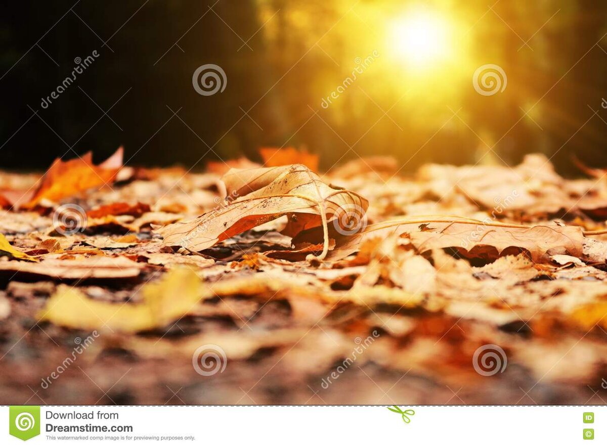 Может кто то узнает в моей истории себя.