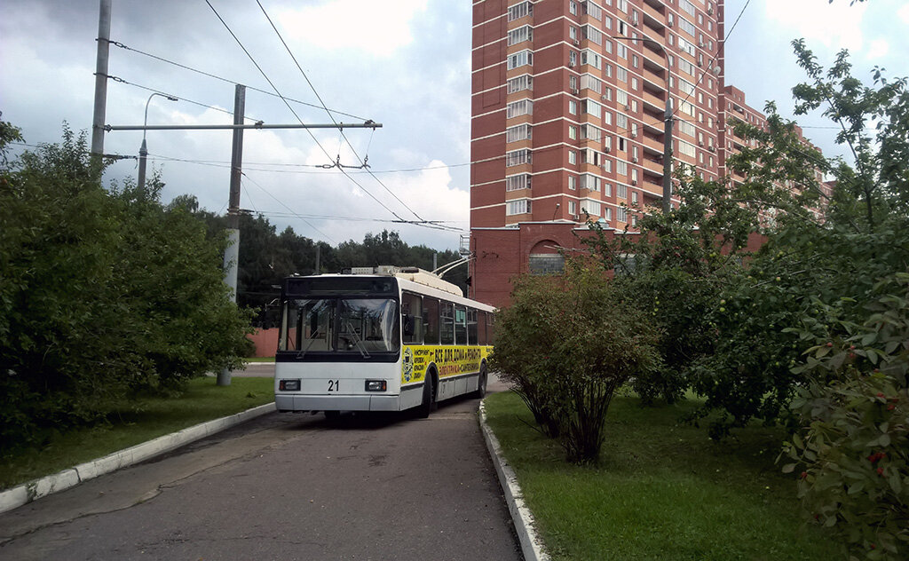 Троллейбус и яблони в Видновском троллейбусном парке. Фото автора канала