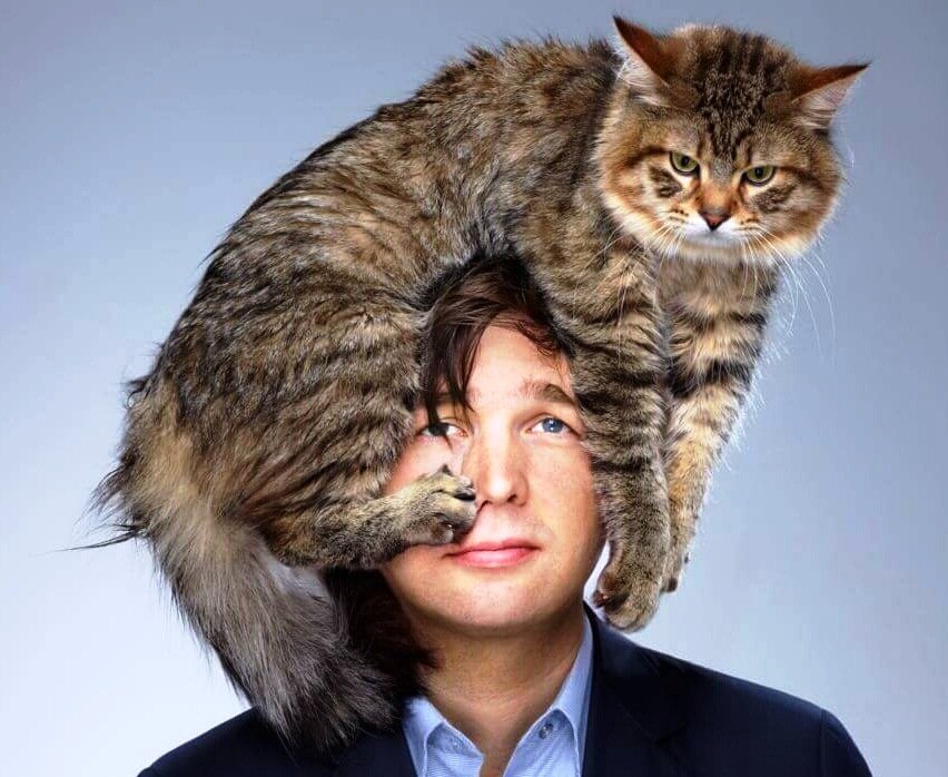 кто в доме хозяин, Вы или ваш КОТ?