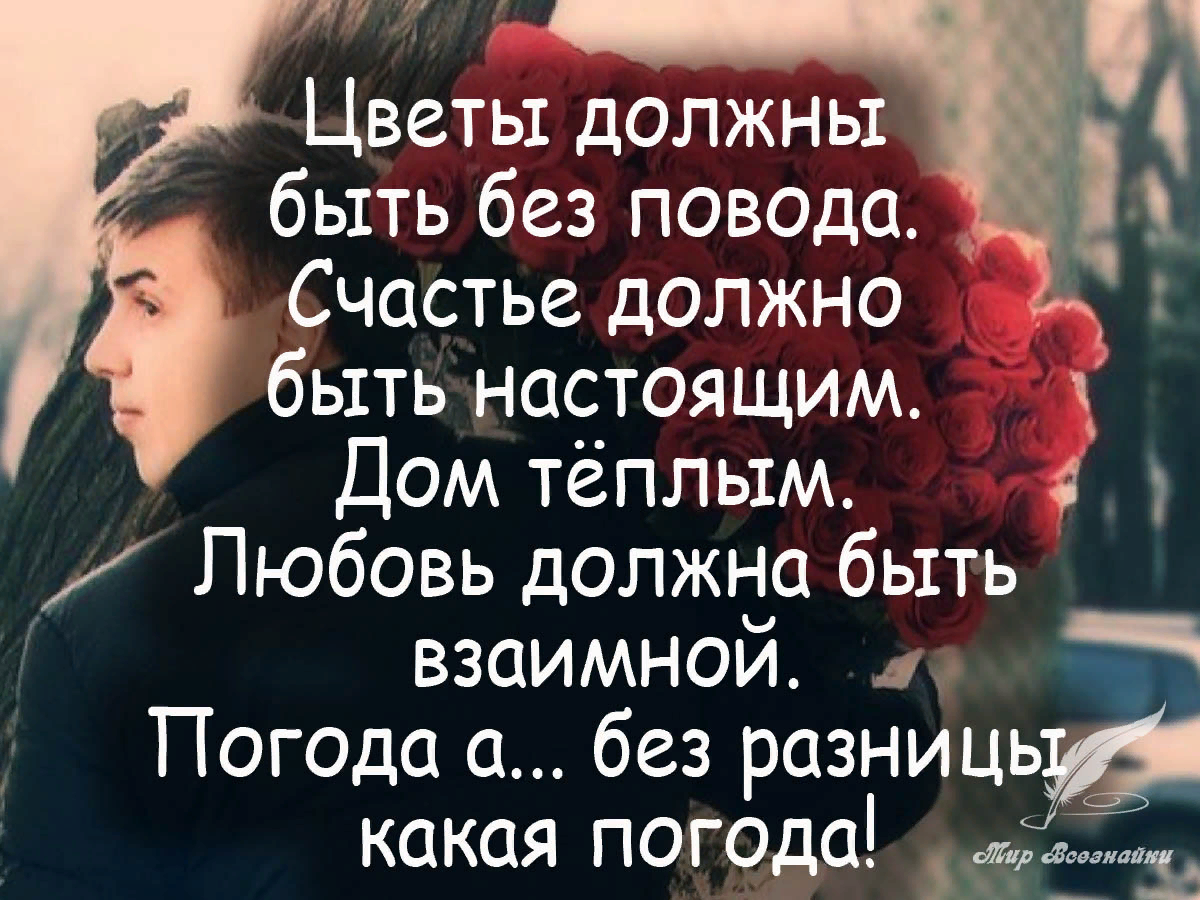 Песня дарите цветы без повода причины. Цветы без повода цитаты. Взаимная любовь стихи. Высказывания о взаимной любви. Дарите цветы без повода афоризмы.