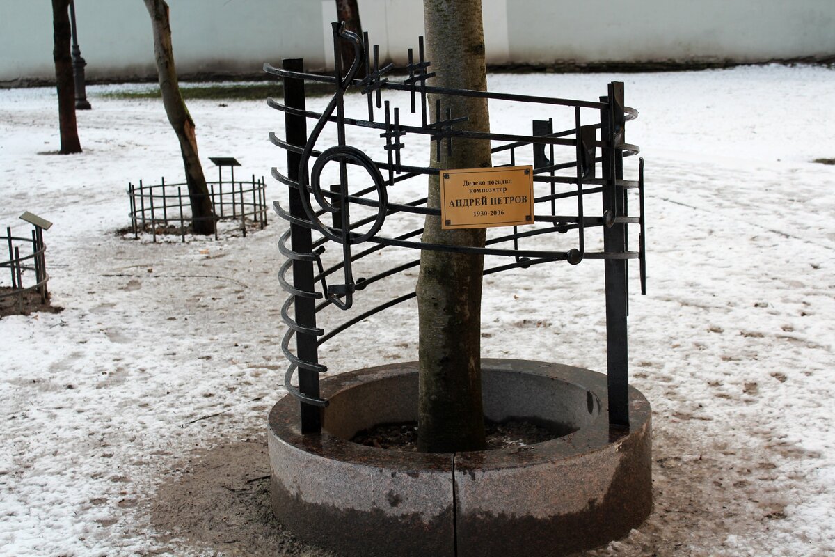 Именное дерево Андрея Петрова