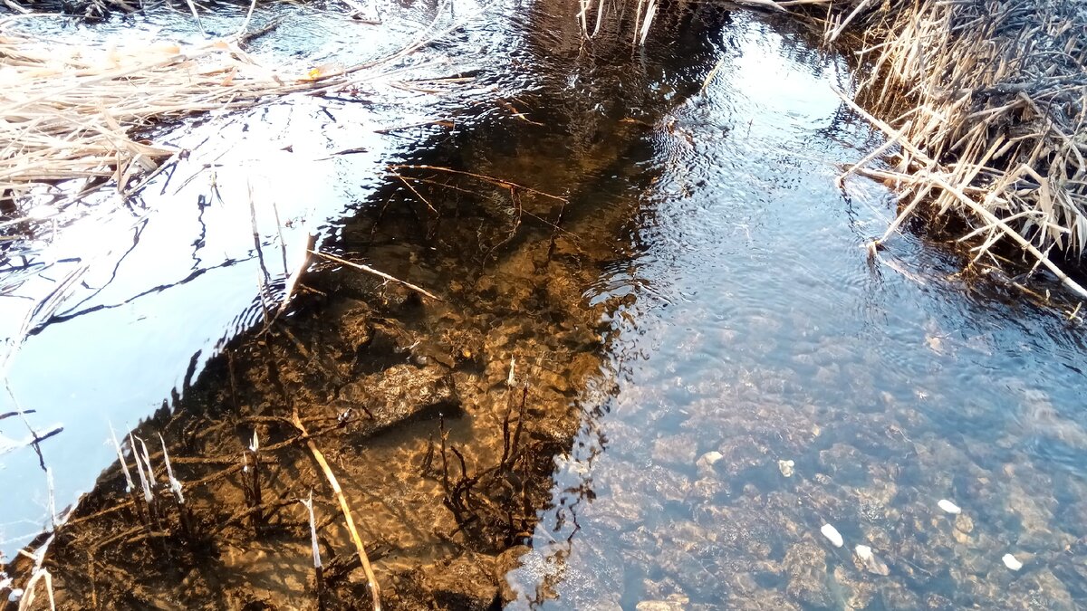 Мокрый карамык. Мокрый карамык. Набережная реки буйвола город благодарный. Пруд мокрая мечетка волгоград. Река мечетка волгоград.