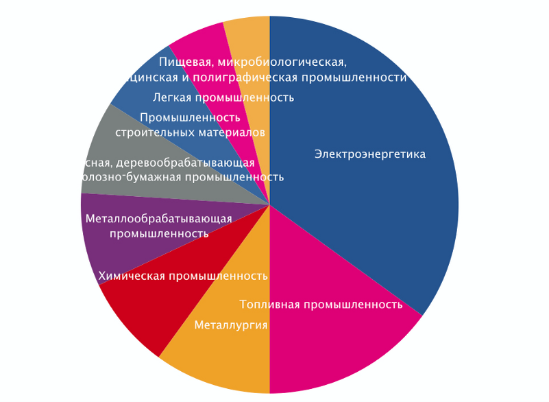 Теперь перед нами уже не диаграмма, а паучье пиршество — огромная липкая паутина с бесконечным количеством разноцветных жертв-насекомых.