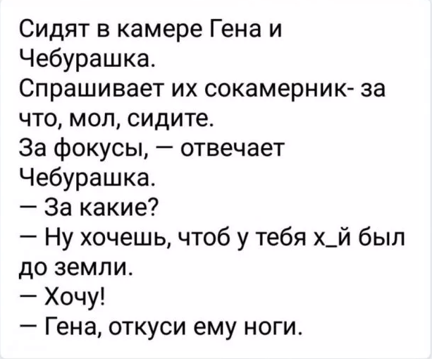 Товарищ милиписькин бобер не виноват мы ехали в сосиске и врезались в салат