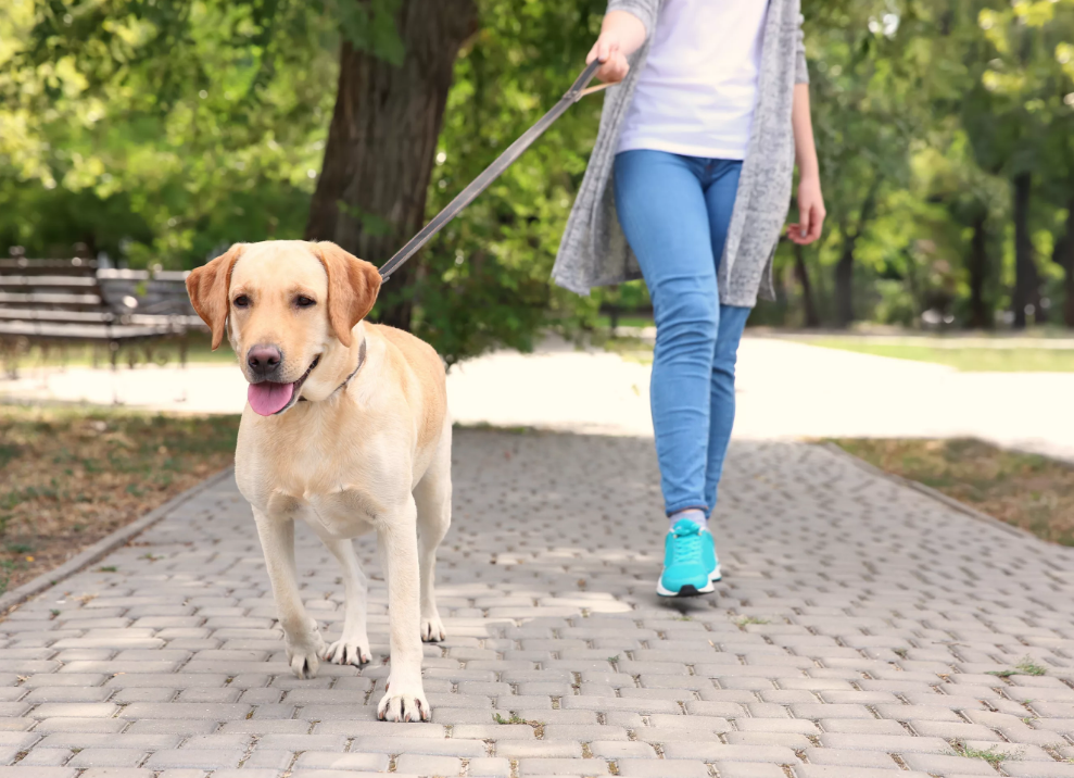 Источник: открытая группа ВК