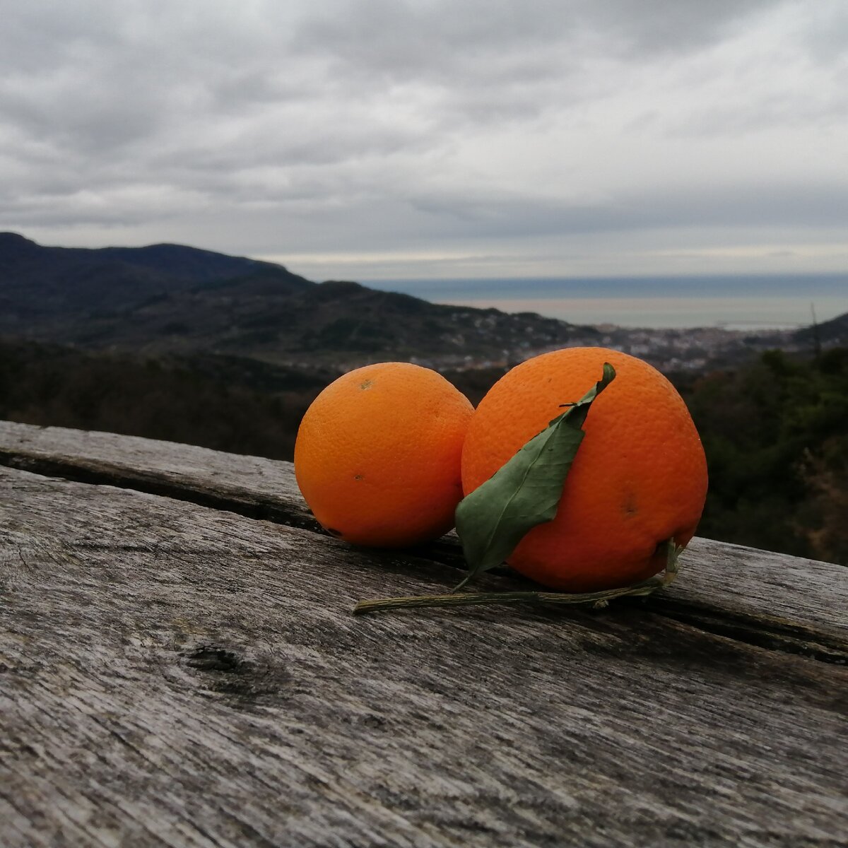 Такое вот доброе утро в горах Турции
