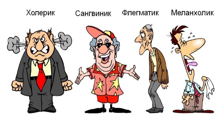 Типы темперамента