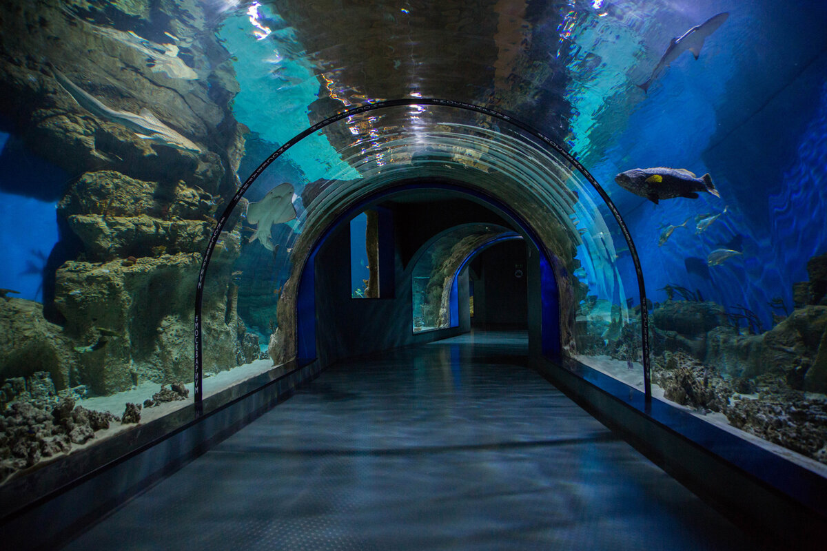 Фото: https://www.pinterest.ru/