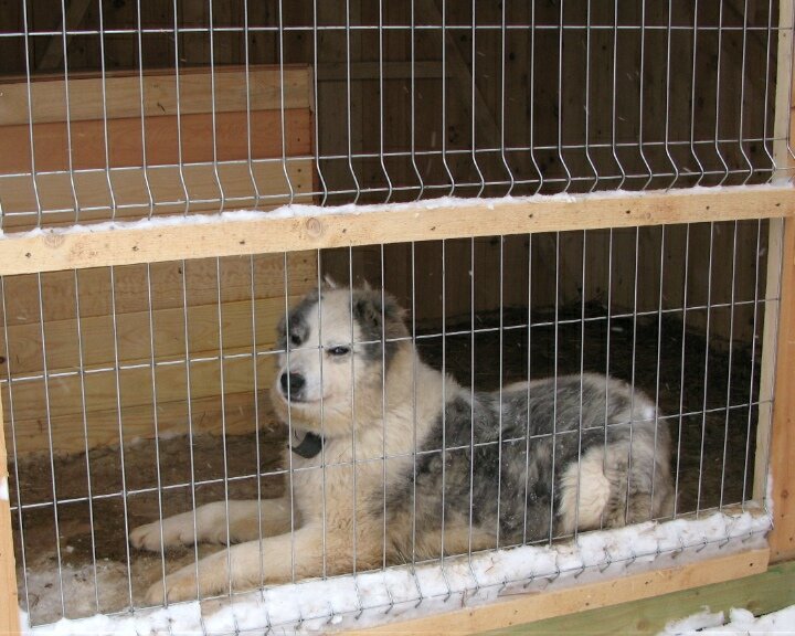 Фирменный прищур😉 Почти как у Нагиева😎