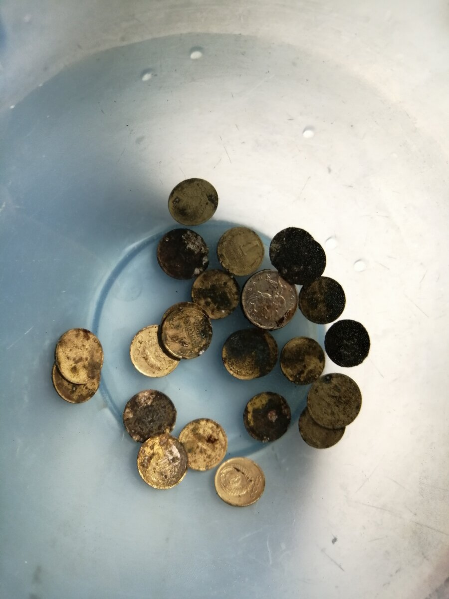 Копейки в растворе из лимонной кислоты и воды