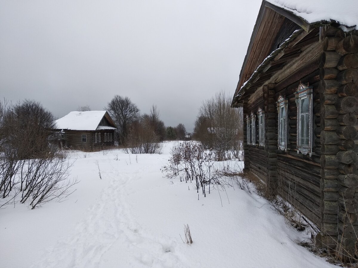 центральная улица в заброшенной деревне Перминовской