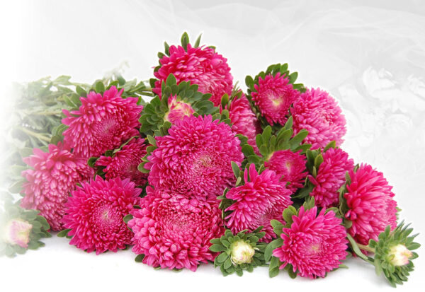 Ссылка на изображение https://www.satimex.de/wp-content/uploads/2018/02/ch_resist-600x413.jpg