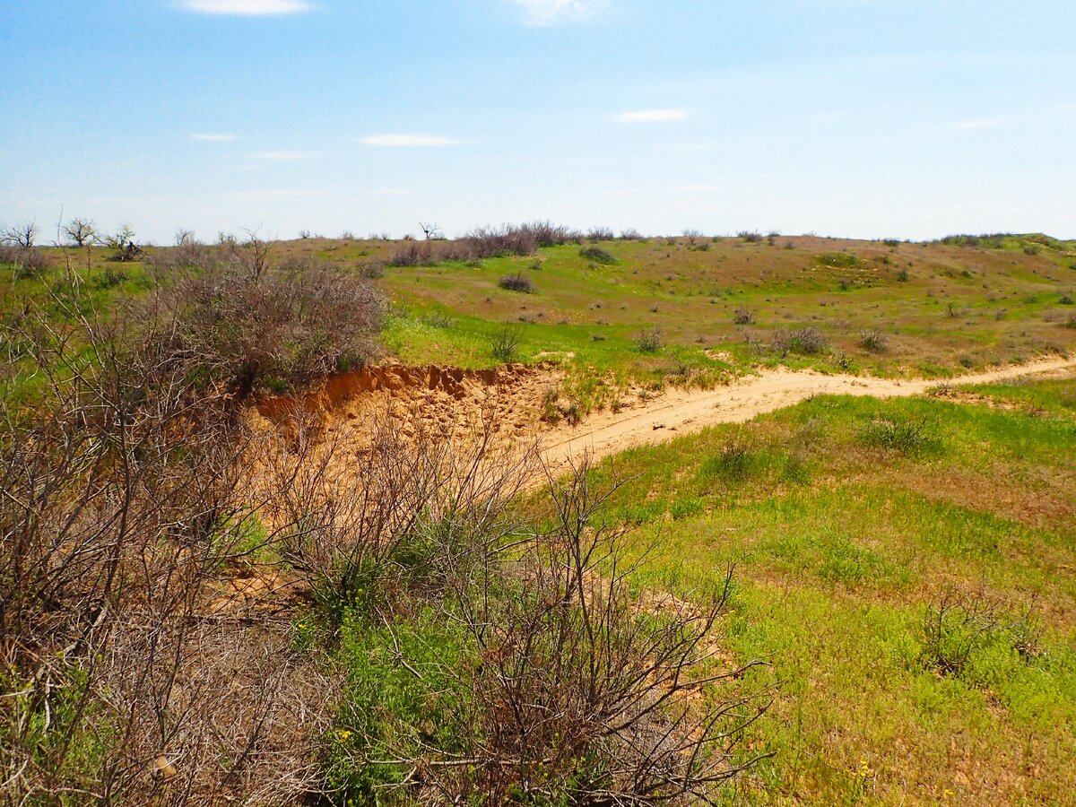 Красноярский район Астраханской области. Фото автора.