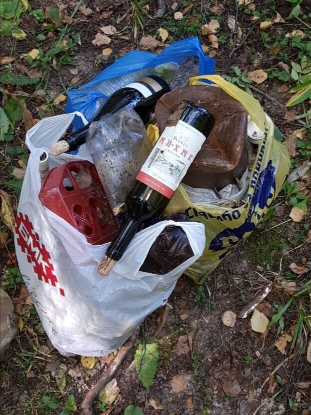 Фото летнее