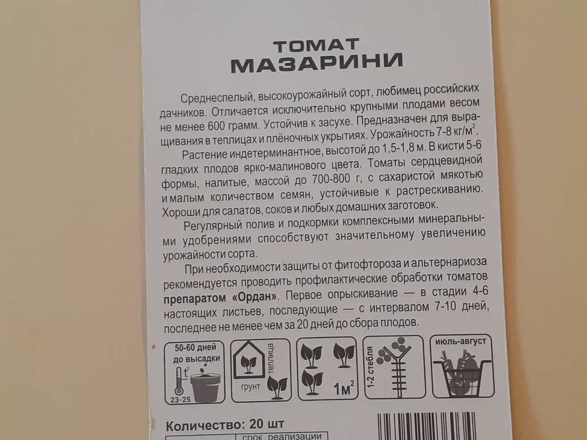 Томат Мазарини, фото автора