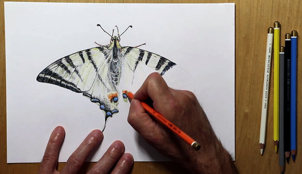 Кадр из видео в процессе рисования