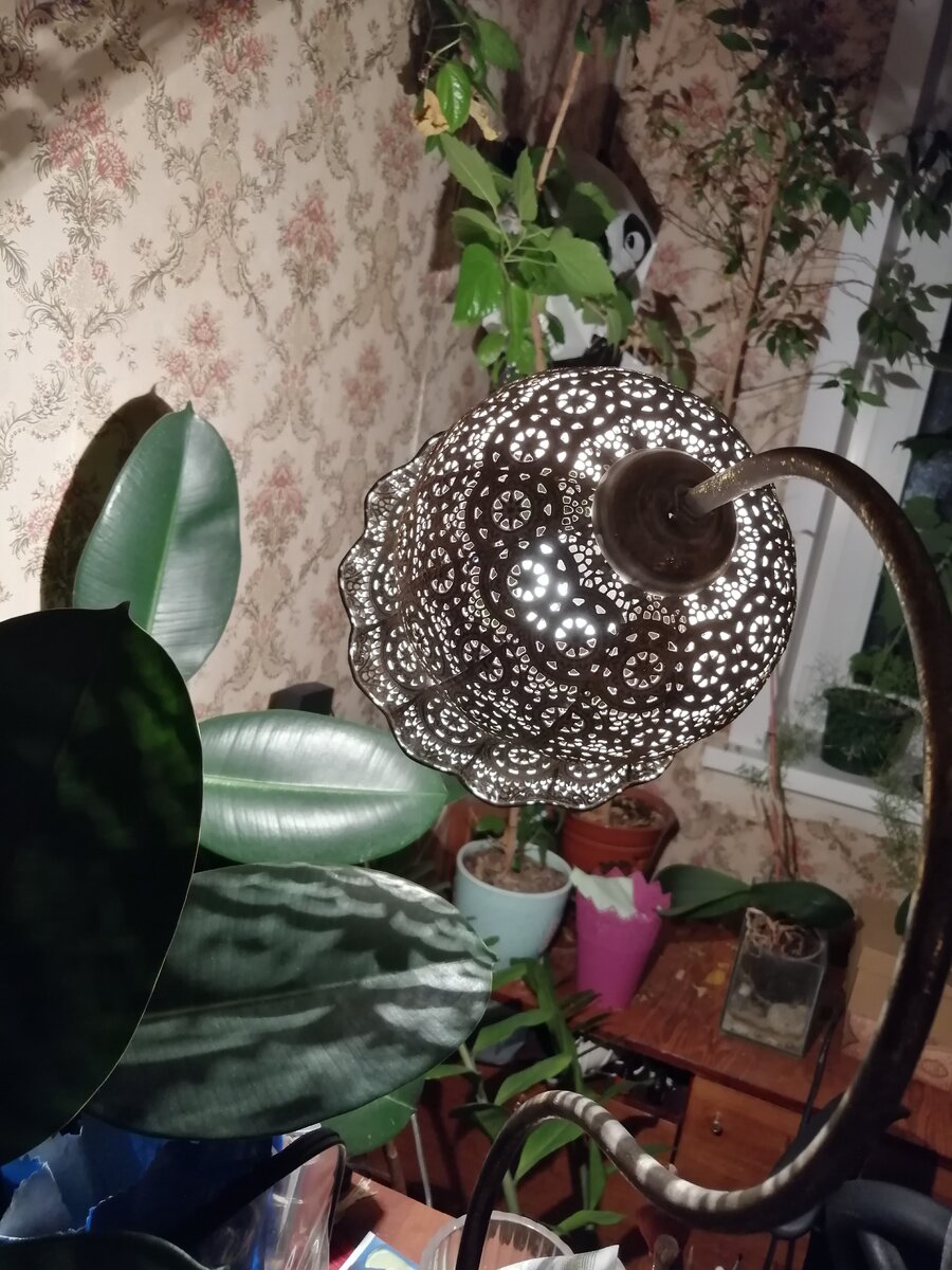 И вот такие