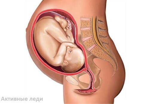 Третий месяц беременности. 