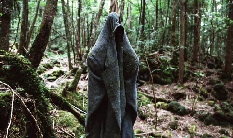 Знаменитая гора Фудзи известна не только сама по себе: у ее подножья лежит Аокигахара, густой лес, в котором полно скалистых пещер. В Аокигахара невероятно тихо и очень-очень мрачно. Уже в древности лес считался местом «жительства» монстров и призраков. И именно сюда жители свозили и оставляли своих близких, которых не могли прокормить, — немощных стариков и детей. Темная репутация Аокигахара вовсю влечет туда людей, склонных сводить счеты с жизнью. За последние 60 лет в лесу были найдены тела более пятисот самоубийц — в этом смысле Аокигахара уступает только знаменитому мосту «Золотые ворота». 
Неудивительно, что «Лес самоубийц» под завязку набит табличками, призывающими потенциальных суицидников одуматься. Японцы верят, что, войдя в Аокигахара, выйти из него уже не удастся. Поэтому посещают его лишь спасатели, ищущие желающих покончить с собой, да смельчаки-туристы.