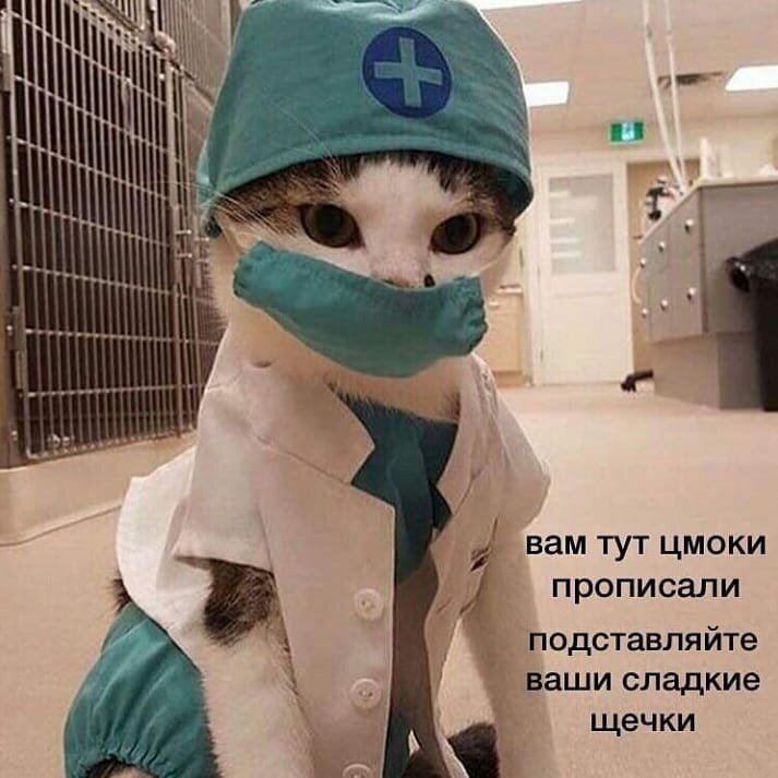 Нам не страшен Коронавирус.