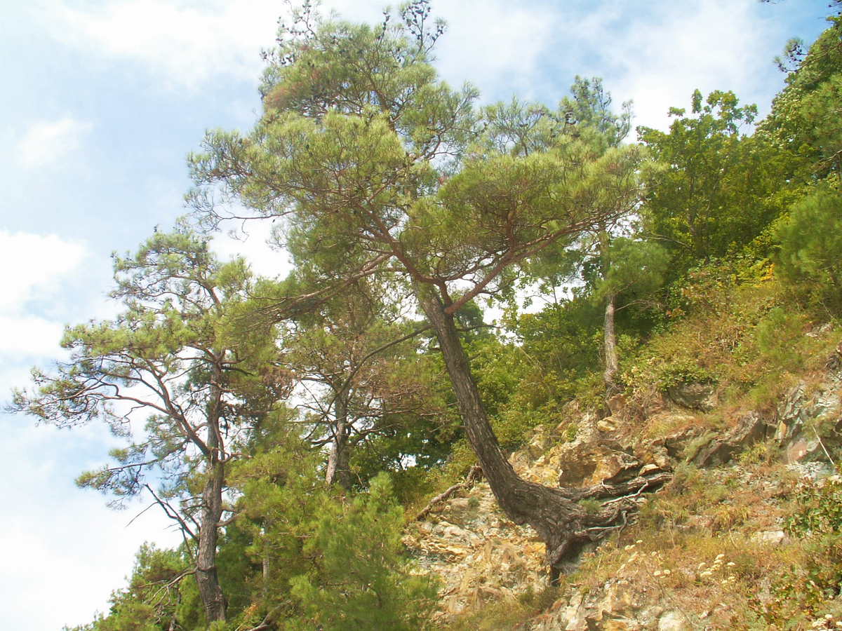 Фото из личного архива.