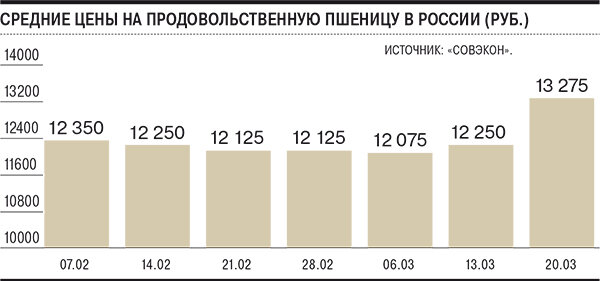 Рост пшеницы  за 2 месяца 2020 года.