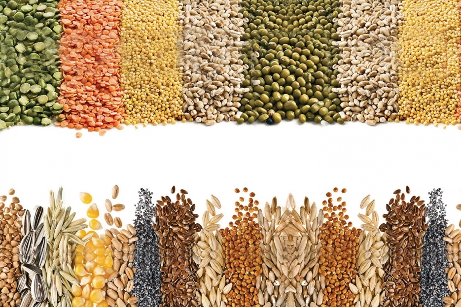  Под клетчаткой подразумевают части фруктов, бобов, растительные волокна, отруби (оболочки ржаных или пшеничных зерен). Ее употребление считается обязательным компонентом здорового питания. Роль клетчатки трудно переоценить
В моей программе похудения это продукт номер один на этапе подготовки организма
‼Отдельно стоит сказать об отрубях.

Все они — рисовые, кукурузные, пшеничные, ячменные, овсяные и ржаные — не только содержат огромное количество пищевых волокон, но и являются природным абсорбентом.

В них присутствуют витамины В, Е, никотиновая кислота, цинк, хром, магний, селен и еще ряд полезных микроэлементов.
Суточная норма- начать со столовой ложки, довести до 100грамм, запивать водой
Несовместимы с приёмом лекарств, должно пройи 6 часов

✅Способствует снижению веса. Чаще всего клетчаткой интересуются с целью похудения. Дело в том, что она имеет свойство расширяться в желудке, за счет чего человек быстрее чувствует себя сытым и меньше съедает. Средство можно добавлять в обычную еду.
✅ Также клетчатка нормализует обмен веществ, делает усвоение жиров и углеводом более медленным, что тоже положительно отражается на массе тела.
✅Выводит, токсины, приводит в норму работу желудочно-кишечного тракта. Клетчатка помогает размножению полезных бактерий, регулирует микрофлору кишечника, избавляет от запоров, восстанавливает кислотно-щелочной баланс, в результате чего уменьшается риск появления язвенных процессов.
✅Снижает уровень холестерина, положительно влияет на состояние сосудов, становится хорошей профилактикой сердечно-сосудистых заболеваний, в том числе инфарктов и тромбозов.
✅Уменьшает количество сахара в крови, поэтому она особенно показана диабетикам.
✅Ускоряет усвоение минералов, незаменимых кислот, других полезных веществ.
✅Нормализует желчеотделение, за счет чего вероятность образования камней в желчном пузыре существенно снижается.
Несмотря на огромную пользу клетчатки для организма, употреблять ее можно не всем.
Исключения составляют больные колитами и язвами различной этиологии.
 Не рекомендуют ее также кормящим мамам, так как обнаружено свойство клетчатки уменьшать лактацию.. НЕ доказано
 Иногда наблюдается снижение усвояемости железа и кальция. Точных данных нет
В любом случае, надо рассматривать организм конкретного человека.