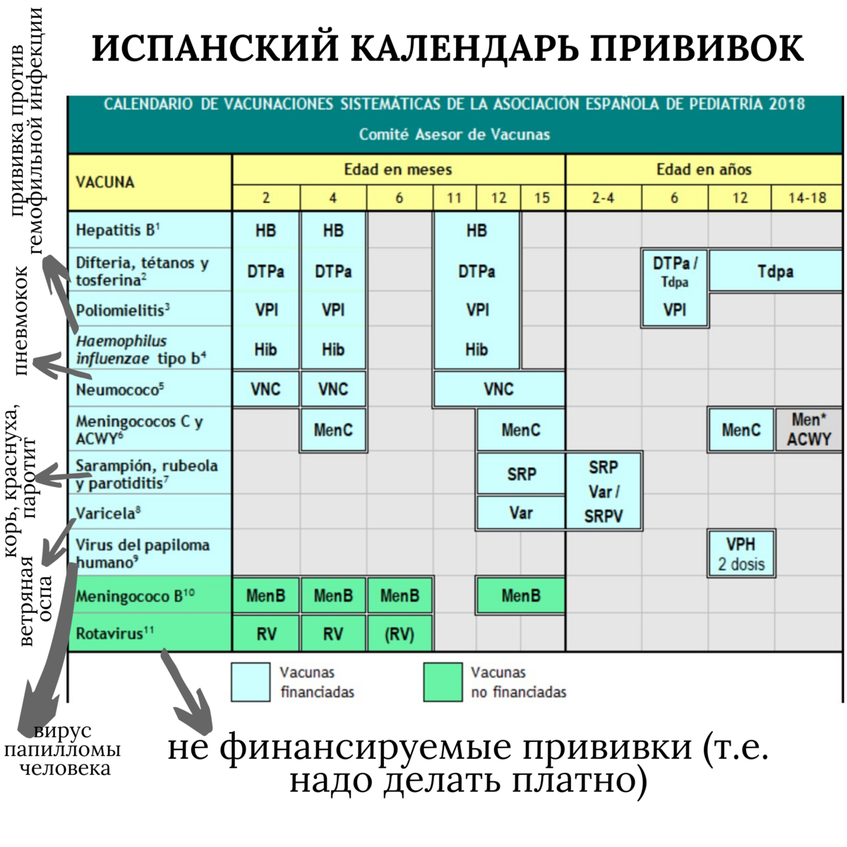 График прививок