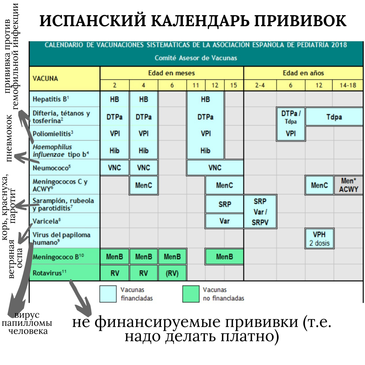 Национальный календарь прививок рф