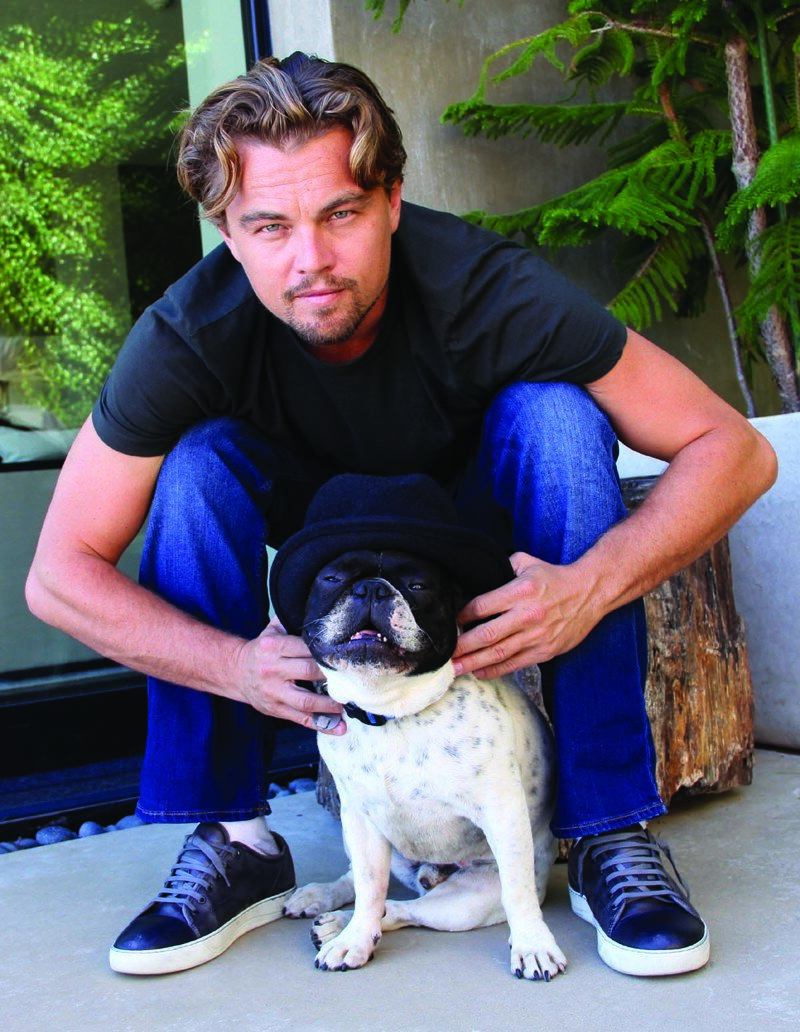 Фото знаменитостей с питомцами. Источник - Яндекс.Картинки. Подборка - "Мир фауны"