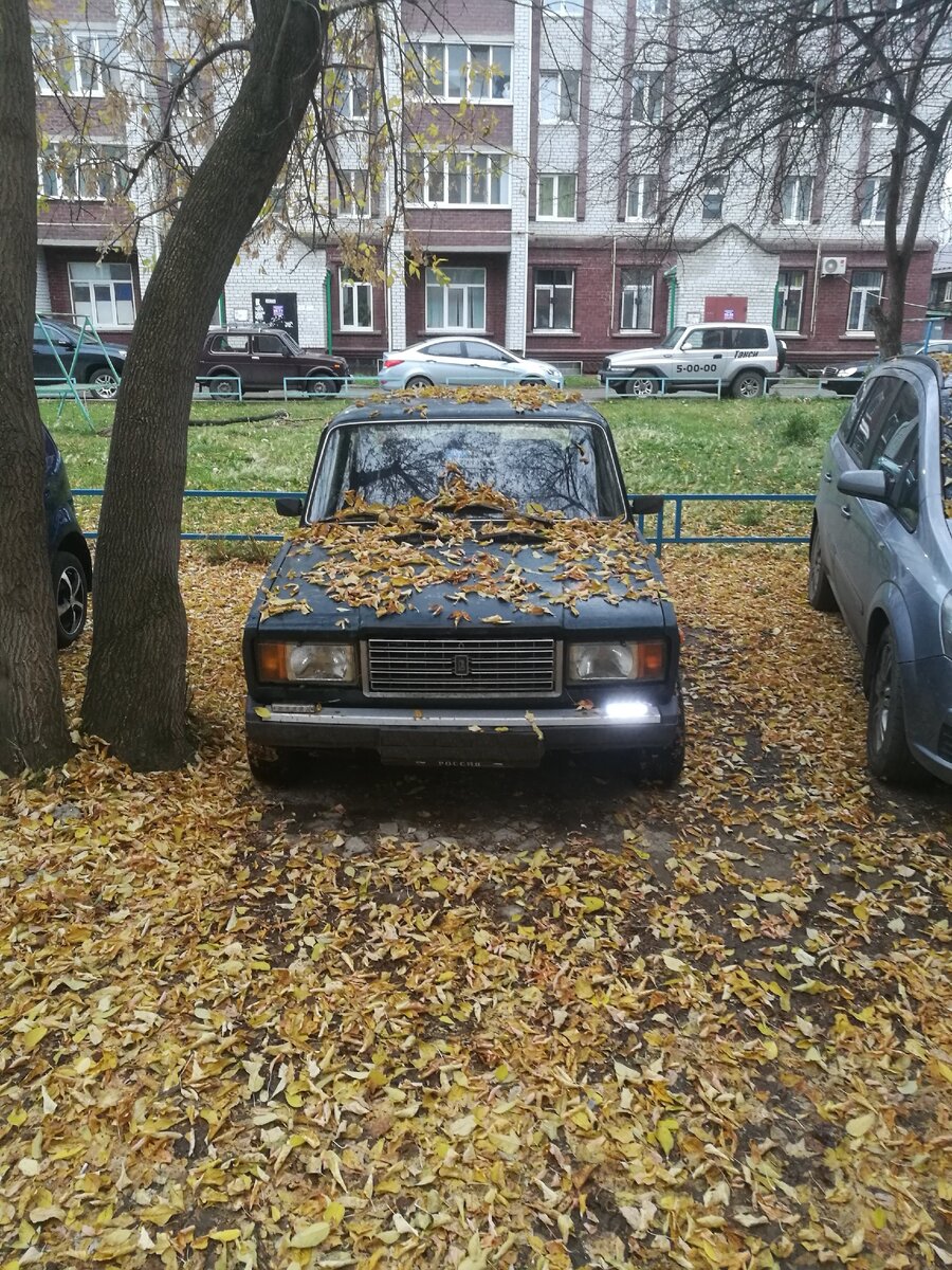 Тут гонка уже с выворотом на синих рычагах от Турботемы