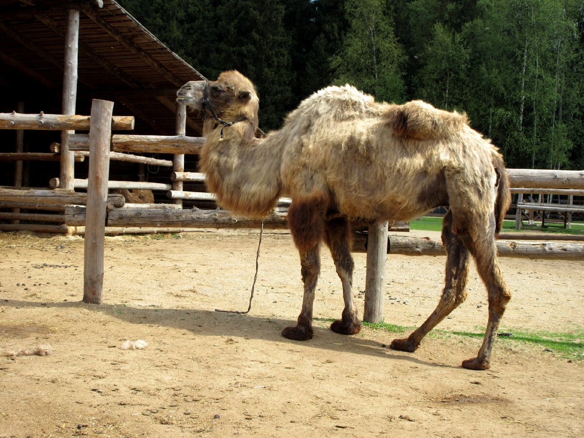 Все фото из личного архива