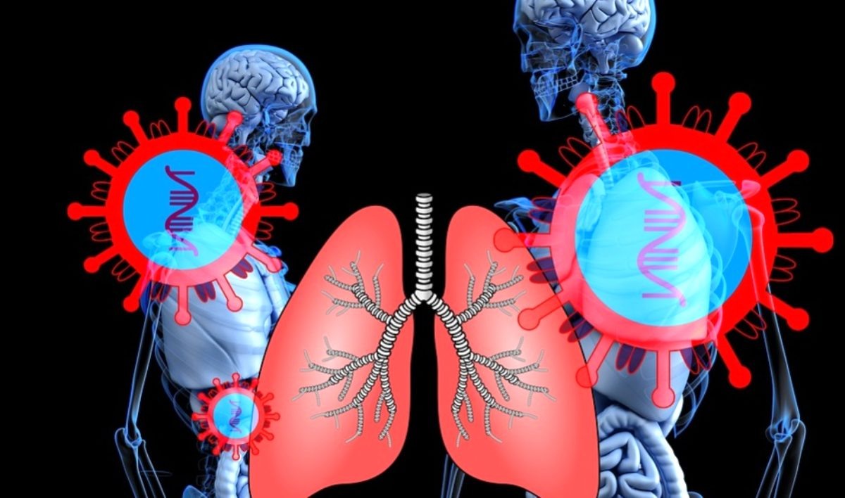 Ученые стали на сложный путь определить все последствия заболевания новым коронавирусом