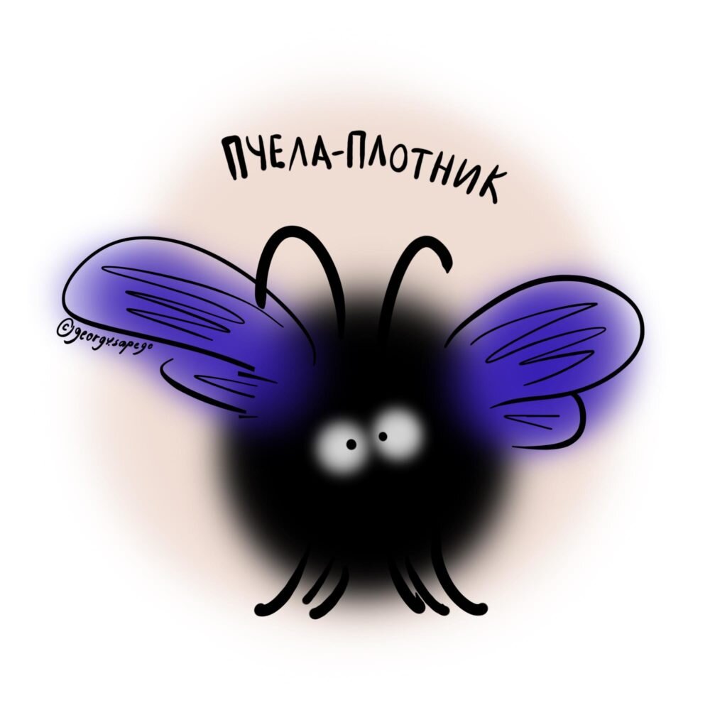 Пчела-плотник