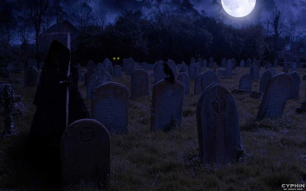 фото из свободных источников.