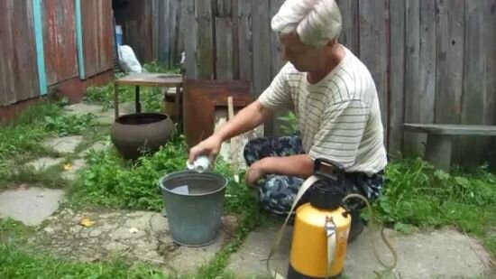 
Разведение раствора Агравертина для опрыскивания участка