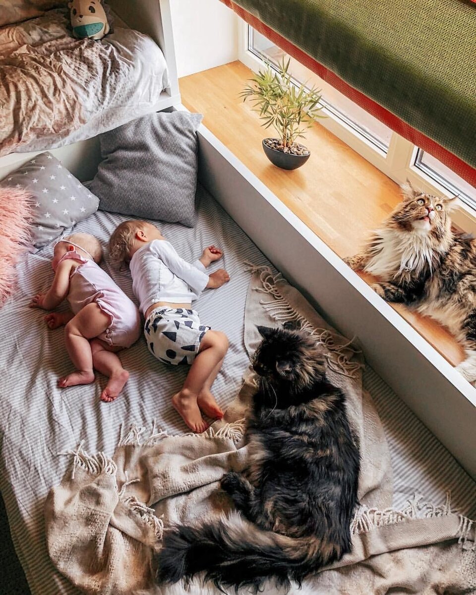 счастье в голове