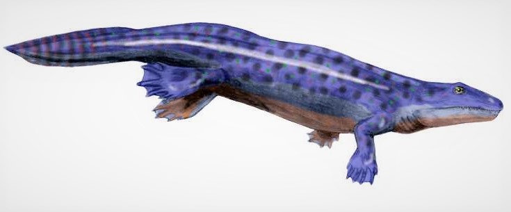 Один из вариантов внешности тетраподоморфа. 