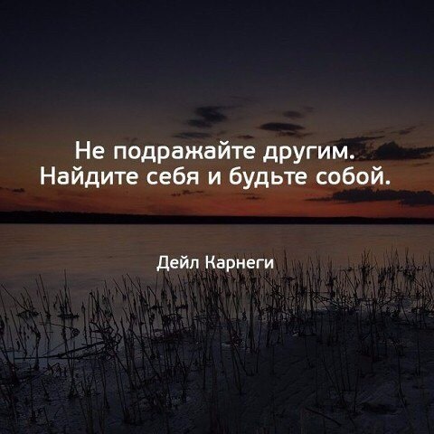 Фото находится в открытом доступе интернета
