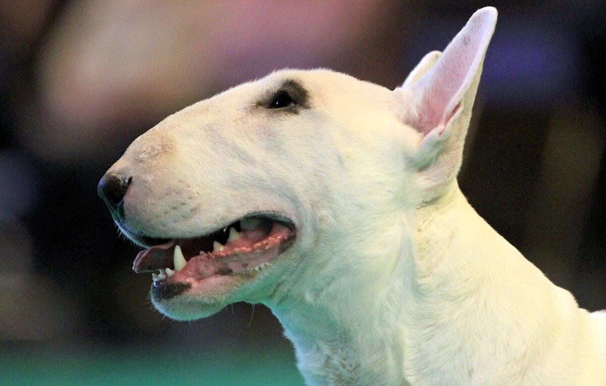 Хоть я хорошенький такой, никто не водится со мной. https://clck.ru/RaqEs