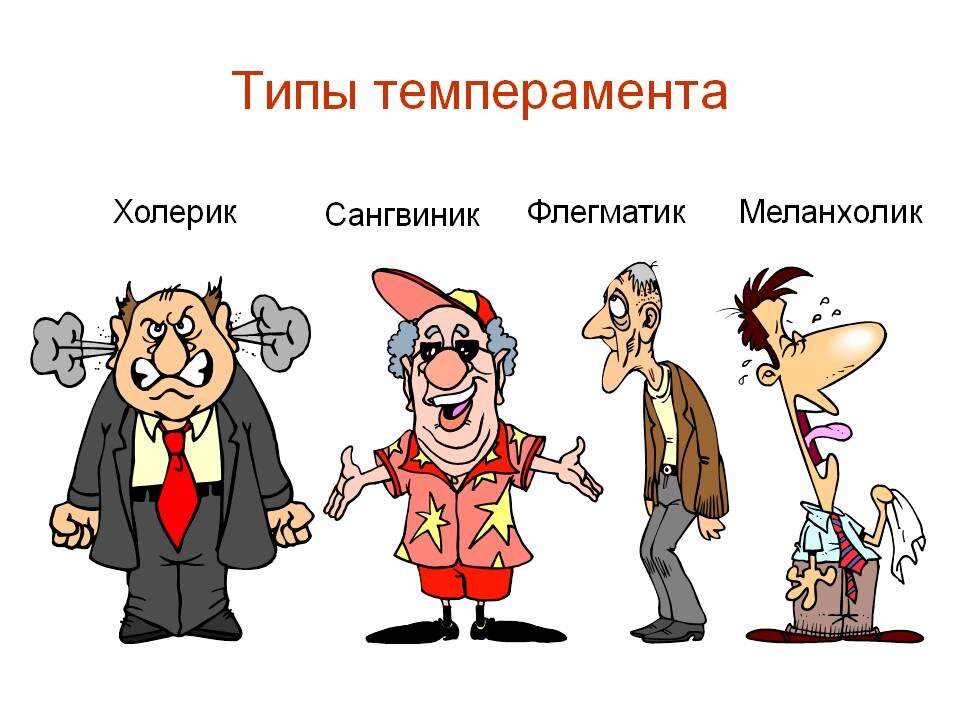 Сексуальная совместимость: как узнать, подходите ли вы друг другу? Два метода от сексолога