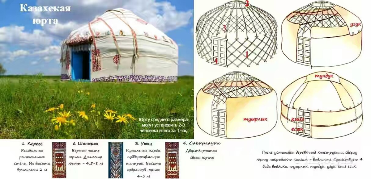 В диминой книге приведен чертеж юрты с размерами для наглядности авторы изобразили стены юрты