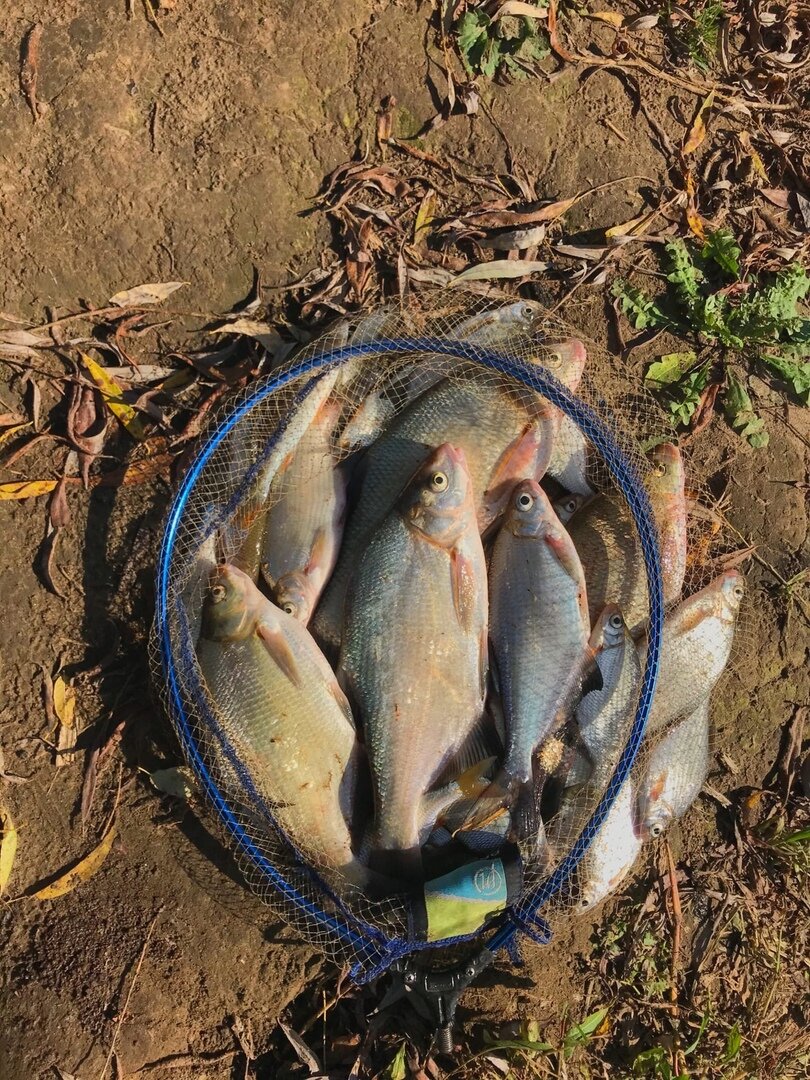 Фото: Антон Тимошин