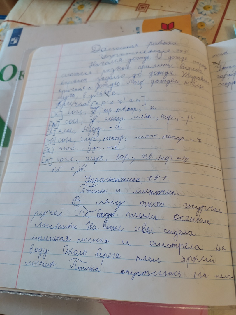 Начали писать русский в тетради в широкую линейку.