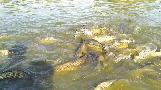 Глубины водоемов для рыбалки